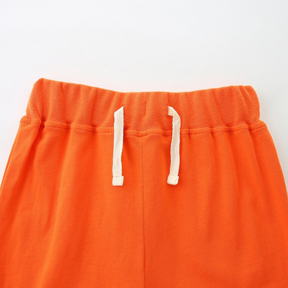 Cute Safari Friends T-Shirt and Shorts Set