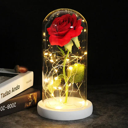 💖Mother's Day Promotion💖For Dropshipping:  Eternal Flower-With LED Gift Box