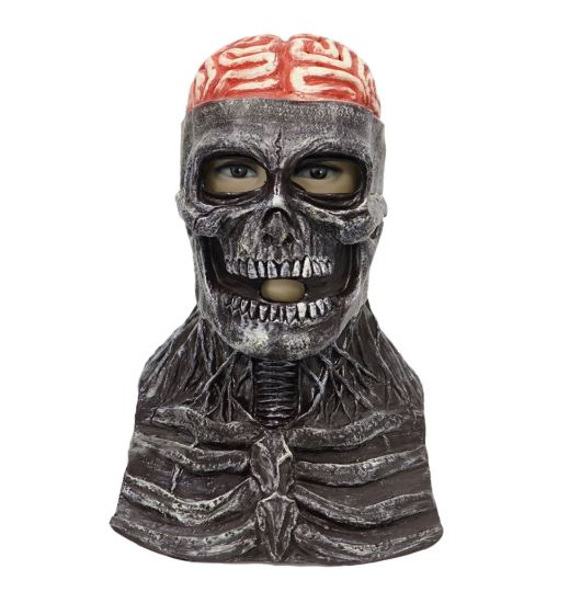 Halloween skull mask
