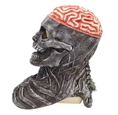 Halloween skull mask