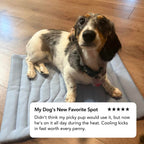 Tapis rafraîchissant pour chien