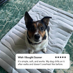 Tapis rafraîchissant pour chien