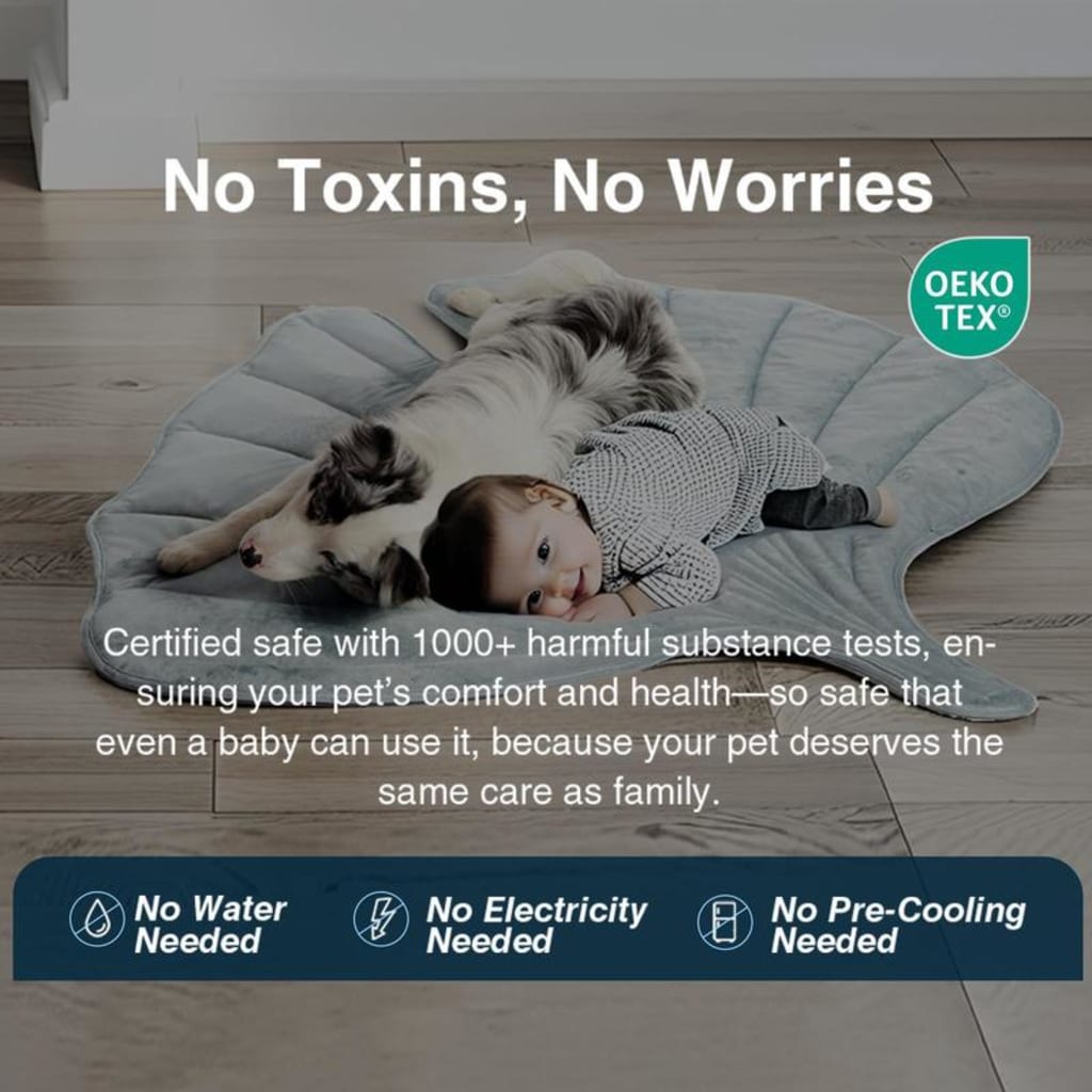 Tapis rafraîchissant pour chien