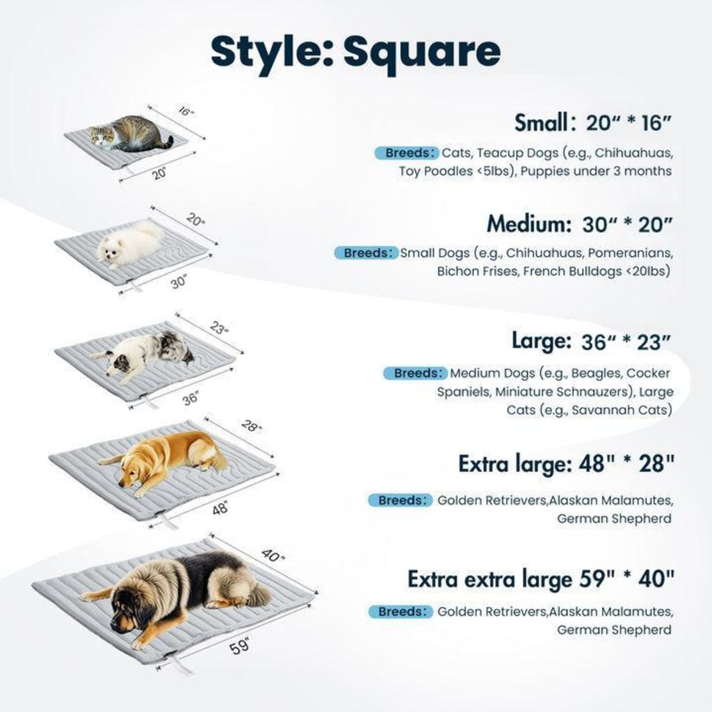 Tapis rafraîchissant pour chien